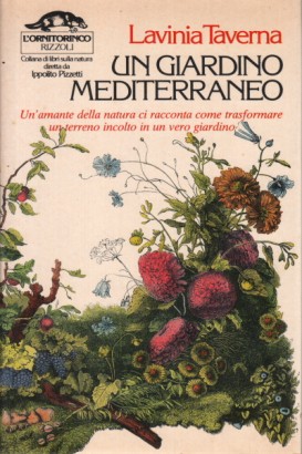 Un giardino mediterraneo